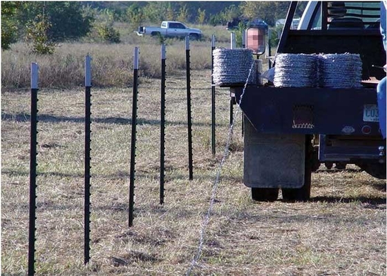 5-8 Ft Galvanized Fence Studded T Post For Farm
