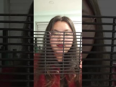 PVCコーティング 1200mm 高セキュリティ 鋼鉄のフェンス 358 ナイザー付き トップ