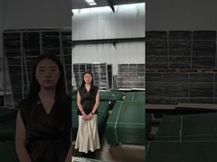 クリアビュー フェンス 防登り セキュリティ フェンス パレット製造